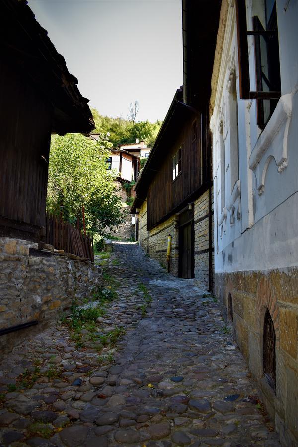 Hotel Bilyana Lovech Dış mekan fotoğraf